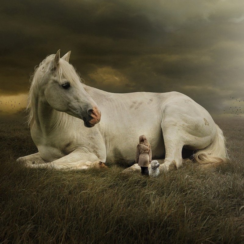 Speaking Peace to Power.&nbsp;Remembering